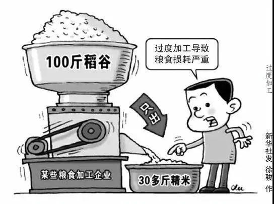 厉行节约&middot;反对浪费|100 斤稻谷只出 30 多斤精米?过度加工,导致粮食损耗严重