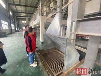 “双减”下的劳动教育新实践 割水稻、观摩农机、加工粮食——走进农田的成长课堂