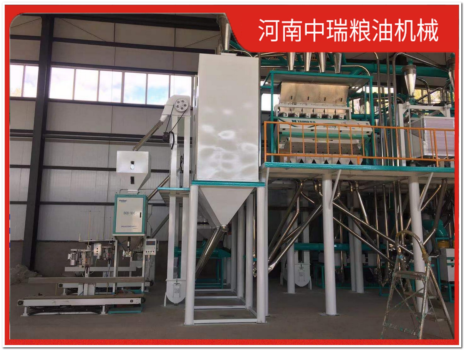 三秦沃土上的智能跃迁 陕西粮食加工行业的“芯”力量