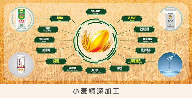 延链成群，打造协同发展的新产业——粮油“新”图景②之粮食加工